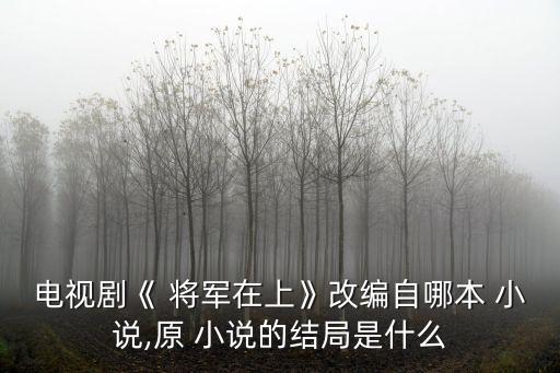 電視劇《 將軍在上》改編自哪本 小說,原 小說的結(jié)局是什么