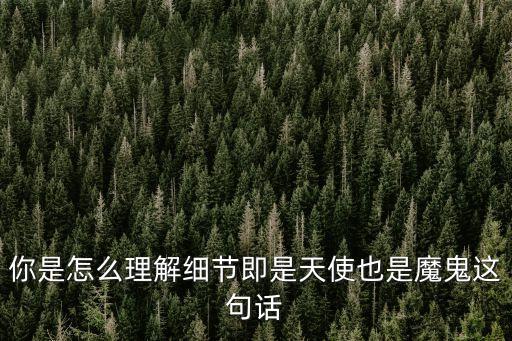 你是怎么理解細(xì)節(jié)即是天使也是魔鬼這句話