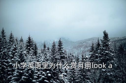 賞月的英文，賞月英語怎么說