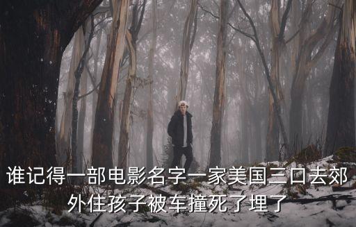 誰記得一部電影名字一家美國三口去郊外住孩子被車撞死了埋了