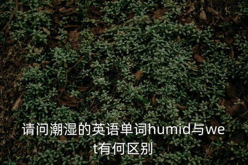 請問潮濕的英語單詞humid與wet有何區別