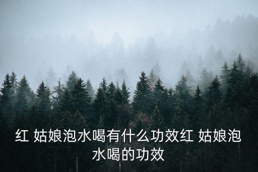 紅姑娘的功效與作用,紅姑娘根湯泡水喝不會頭暈但有益健康