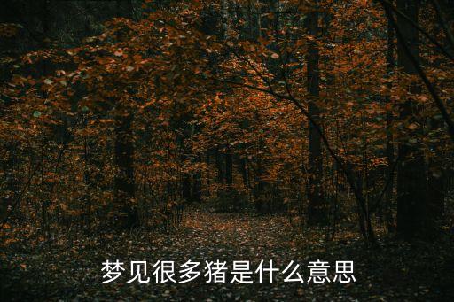夢見一群豬,棉花廠經(jīng)營者夢見很多豬可通過提高棉花價值來獲利