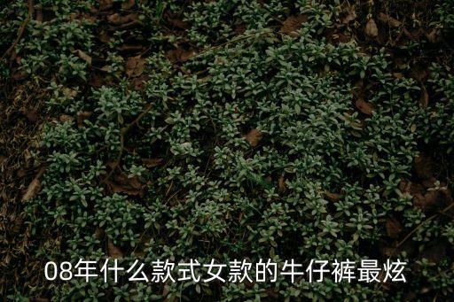 08年什么款式女款的牛仔褲最炫
