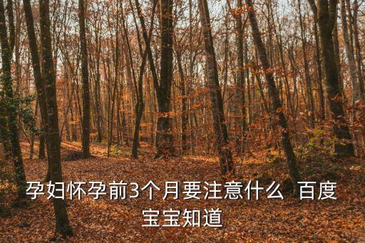 懷孕前三個月需要注意什么，懷孕前3個月要注意什么