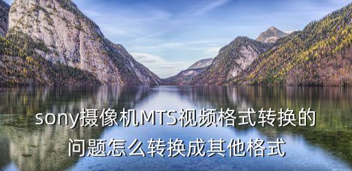 sony攝像機MTS視頻格式轉換的問題怎么轉換成其他格式