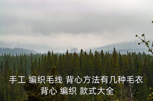手工 編織毛線 背心方法有幾種毛衣 背心 編織 款式大全