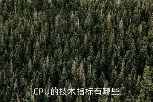 主要技術指標，CPU的技術指標有哪些