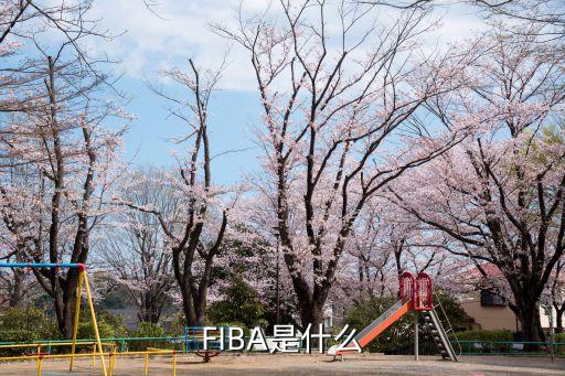 國際籃球聯合會，FIBA么意思啊