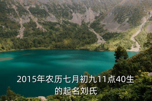2015年農歷七月初九11點40生的起名劉氏