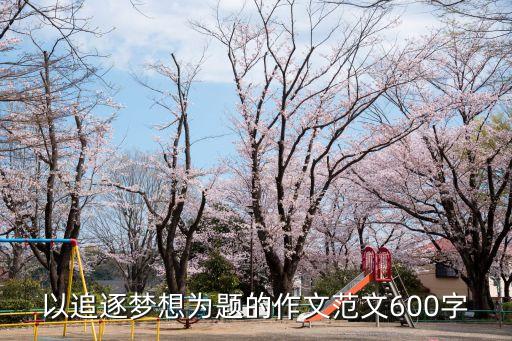 追逐夢想，以追逐夢想為題的作文范文600字