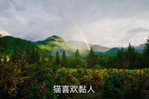 貓粘人嗎，貓喜歡粘人嗎