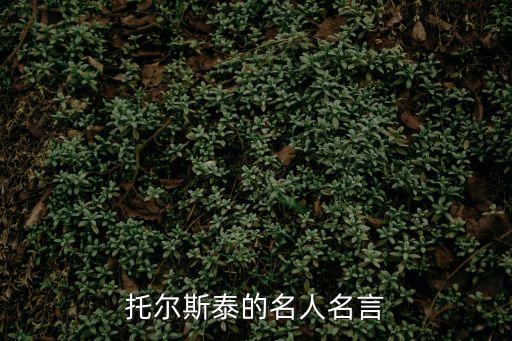 托爾斯泰的名言，列夫托爾斯泰說過哪些名言