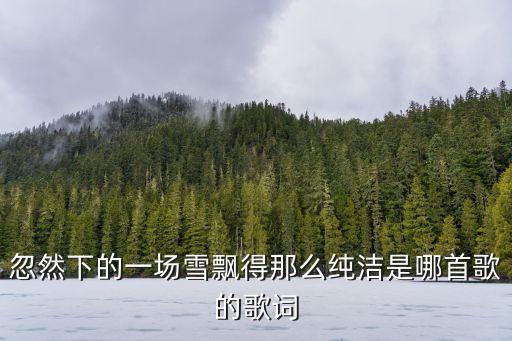 忽然下的一場雪飄得那么純潔是哪首歌的歌詞