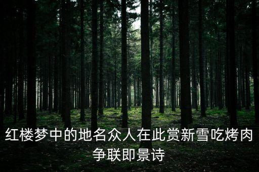 紅樓夢中的地名眾人在此賞新雪吃烤肉爭聯即景詩