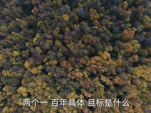  兩個一 百年具體 目標是什么