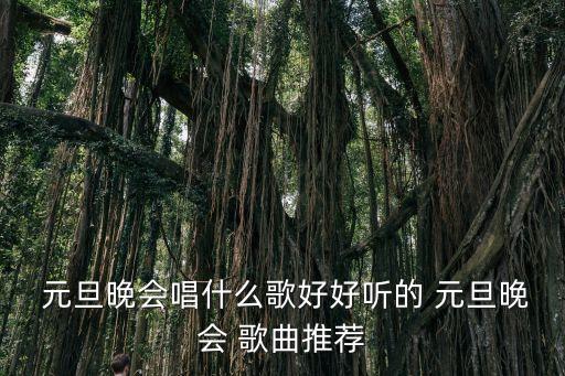 元旦歌曲,第二集:林俊杰《不為任何人的歌》