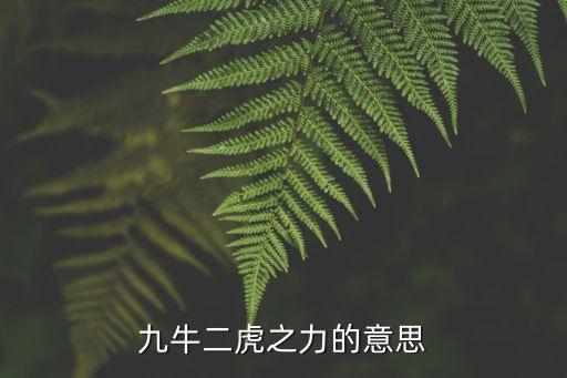 九牛二虎的意思，九牛二虎之力的意思