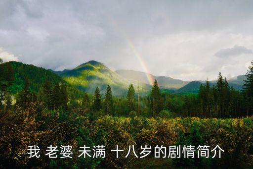我 老婆 未滿 十八歲的劇情簡介