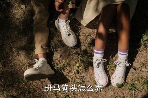 斑馬狗頭，斑馬狗頭得白點病了會傳染其它狗頭么 怎么治療效果好一些