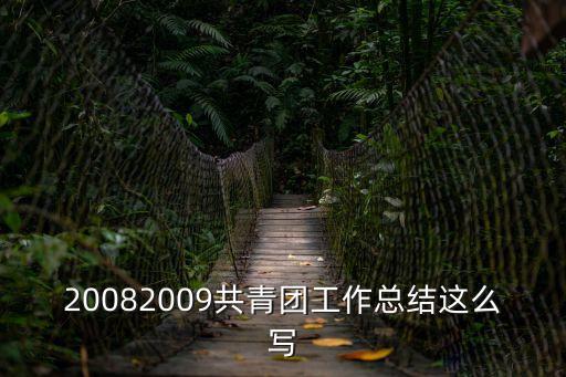 青年工作總結，20082009共青團工作總結這么寫
