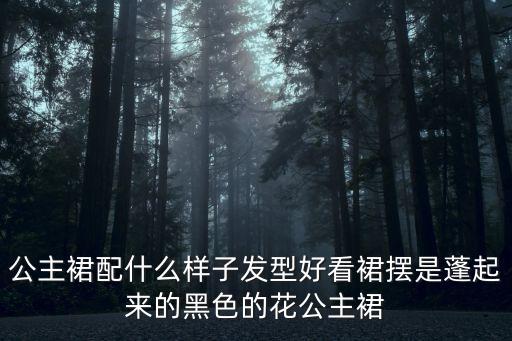 公主裙，公主裙配什么樣子發型好看裙擺是蓬起來的黑色的花公主裙