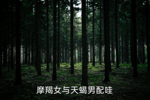 摩羯女與天蝎男配哇
