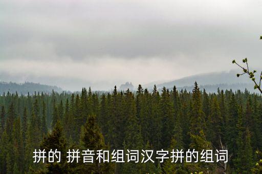 拼的拼音,拼的時代:拼寫漢字表達(dá)意思