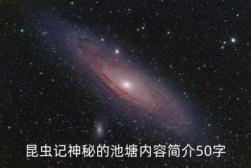 神秘的池塘，神秘的池塘主要內容