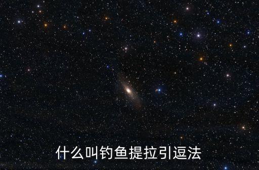 什么叫釣魚提拉引逗法