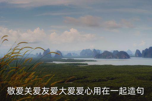 敬愛關愛友愛大愛愛心用在一起造句