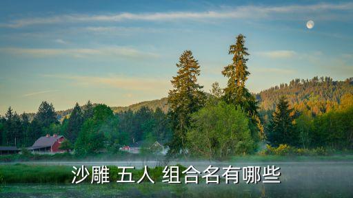 沙雕 五人 組合名有哪些