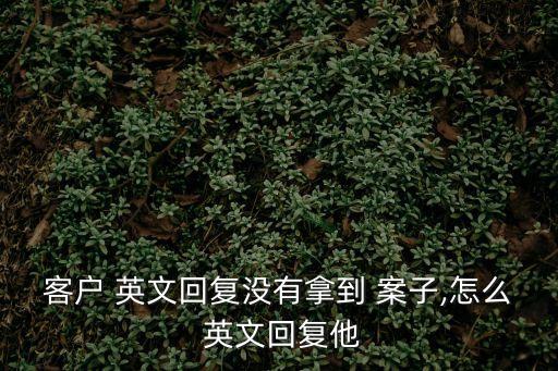 客戶 英文回復沒有拿到 案子,怎么 英文回復他