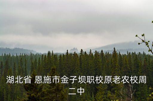 恩施職院,湖北恩施職院附中建筑系和相關專業(yè)出現校風問題