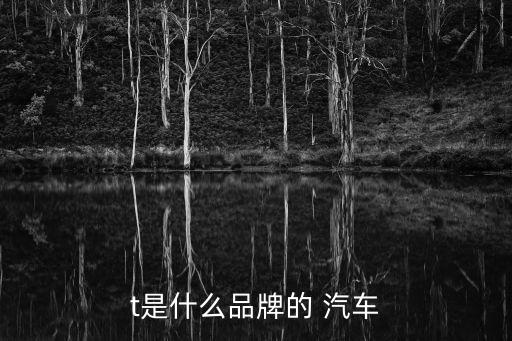 t是什么品牌的 汽車(chē)