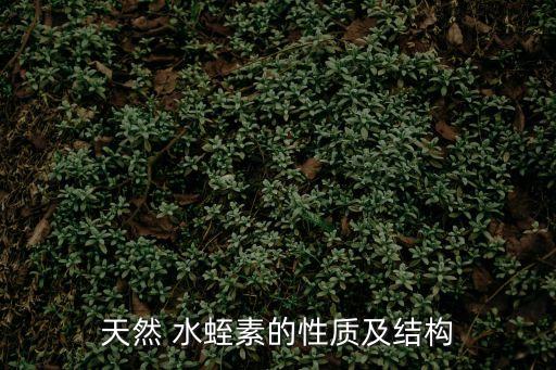 天然 水蛭素的性質及結構
