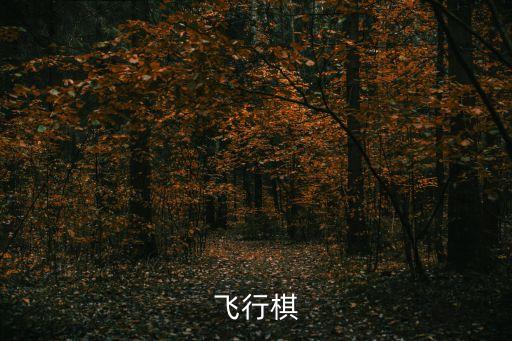 飛行棋