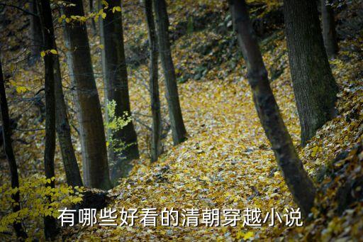刺清,金《回清夢(mèng)》第一集:如履薄冰、清夢(mèng)如金