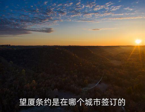 望廈條約，望廈條約是在哪個城市簽訂的