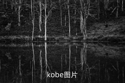 kobe圖片