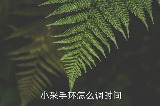  小采手環(huán)怎么調(diào)時(shí)間
