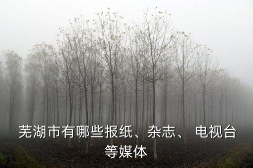 蕪湖電視臺,安徽省蕪湖市三電視臺被列為本地第三個臺