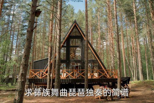 彝族舞曲琵琶，求琵琶獨(dú)奏的簡(jiǎn)譜