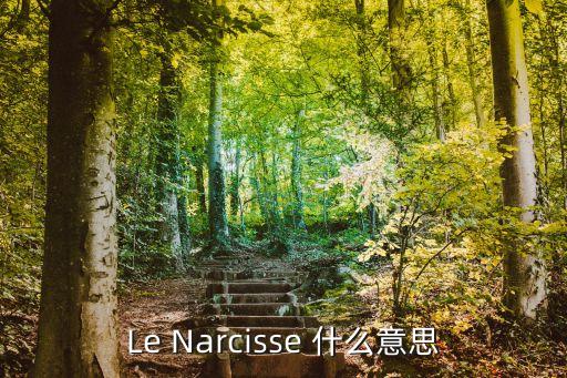 Le Narcisse 什么意思