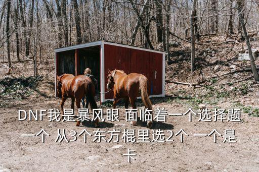DNF我是暴風眼 面臨著一個選擇題一個 從3個東方棍里選2個 一個是卡