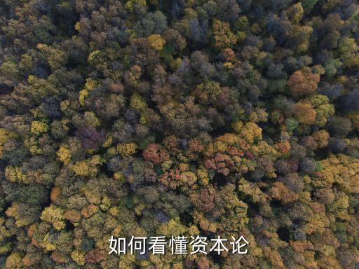 資本論讀書筆記，要 資本論 的讀書心得謝謝