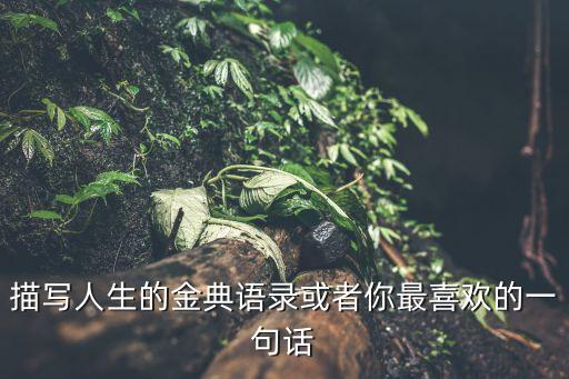 描寫人生的金典語錄或者你最喜歡的一句話
