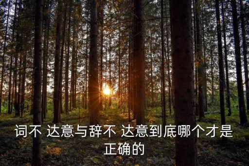 詞不 達意與辭不 達意到底哪個才是正確的