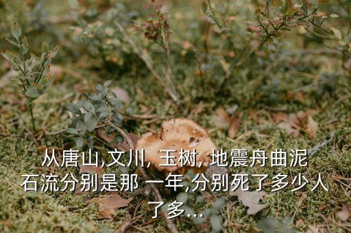 玉樹地震是哪一年