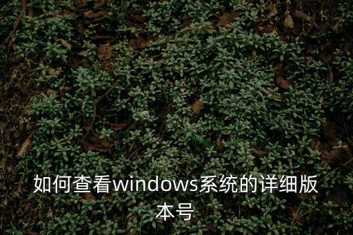 怎么查看電腦windows版本，如何查看電腦windows版本